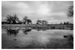 52wochen_03-52