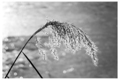52wochen_05-52
