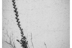 52wochen_11-52