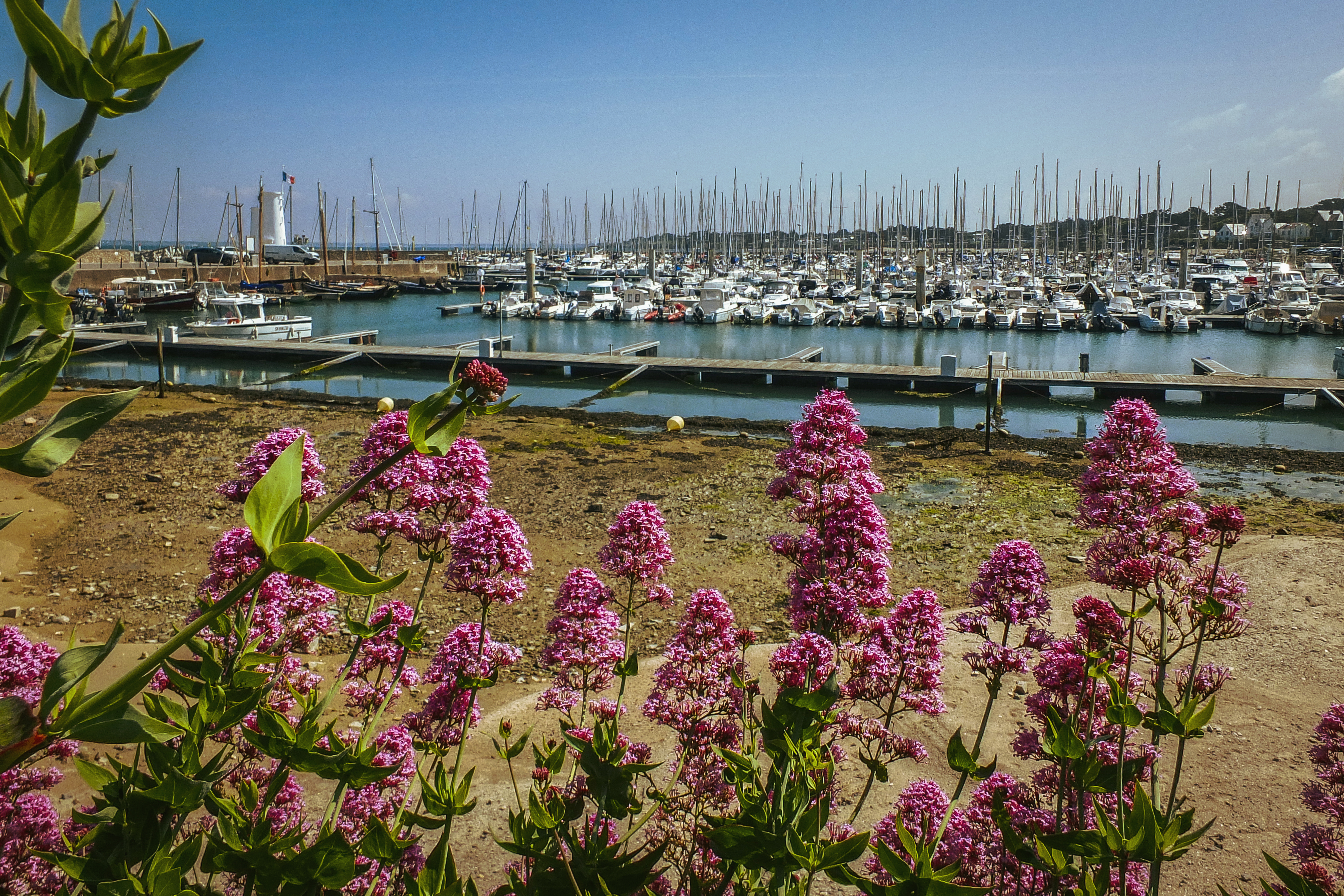 Piria-sur-Mer