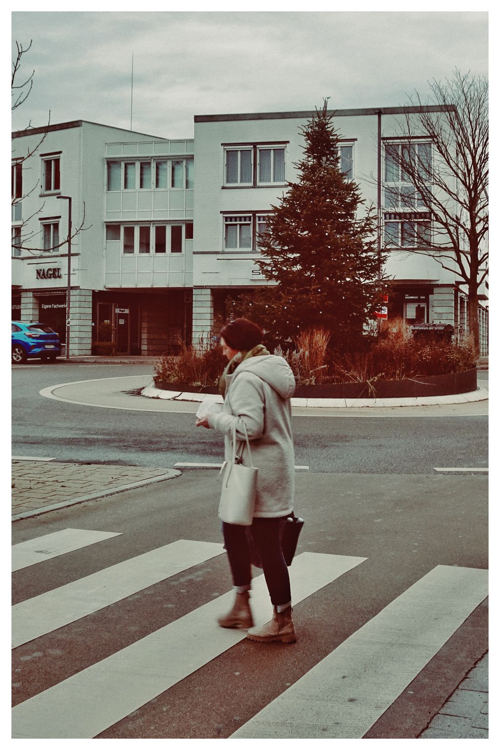 Zebrastreifen (19/365)