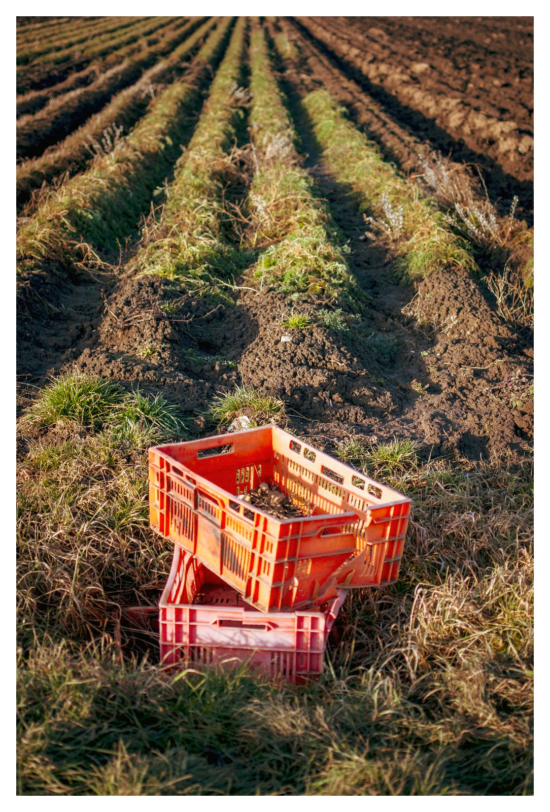 Alles leer (53/365)