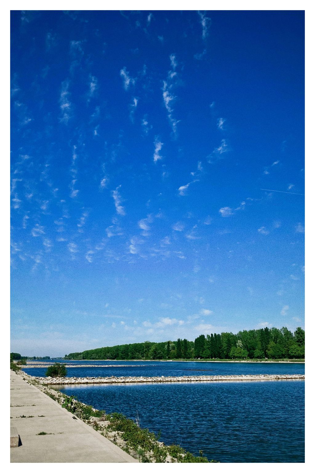 Daunenfederwölkchen (146/365)