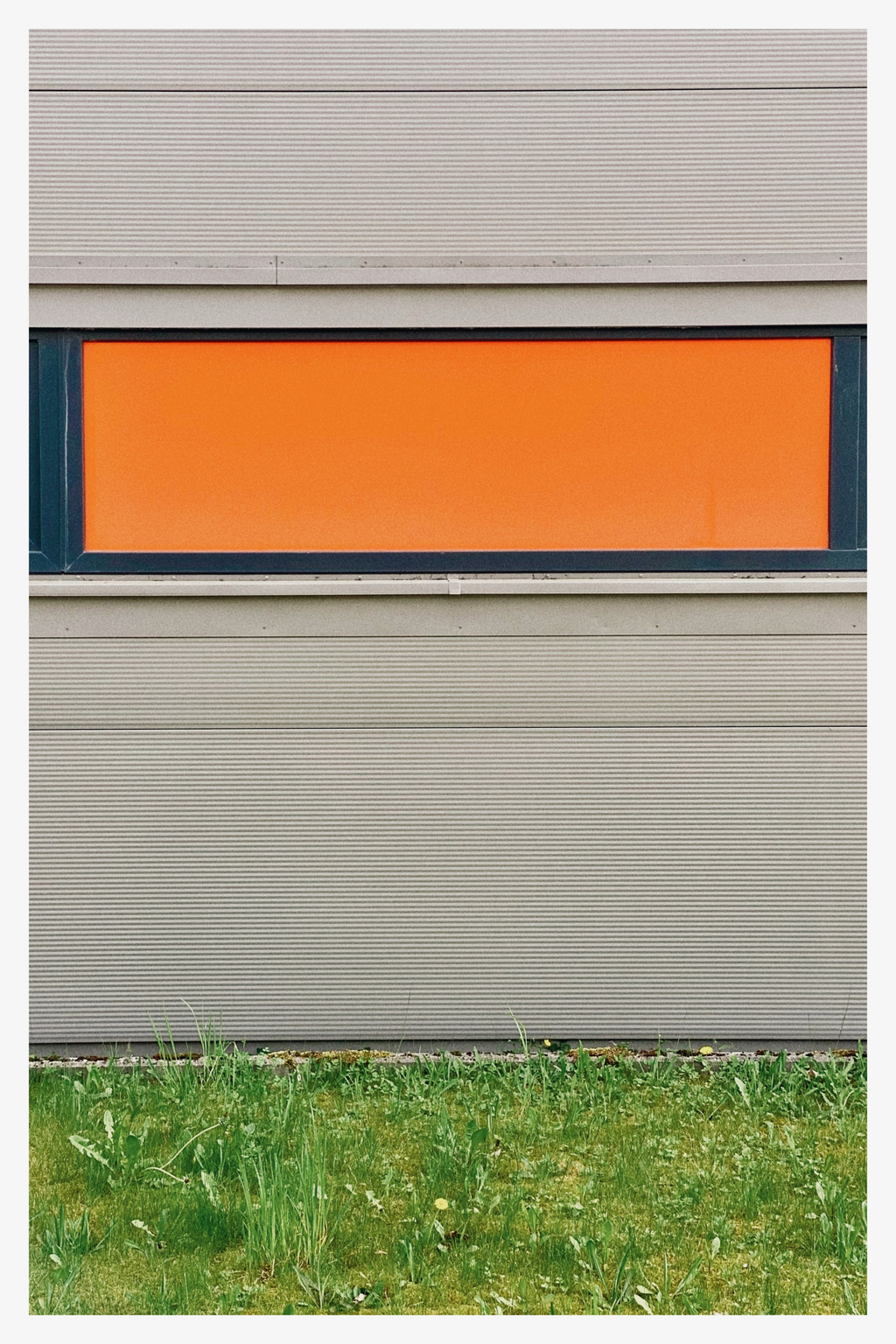 Orange-Grau und Wiese (148/365)