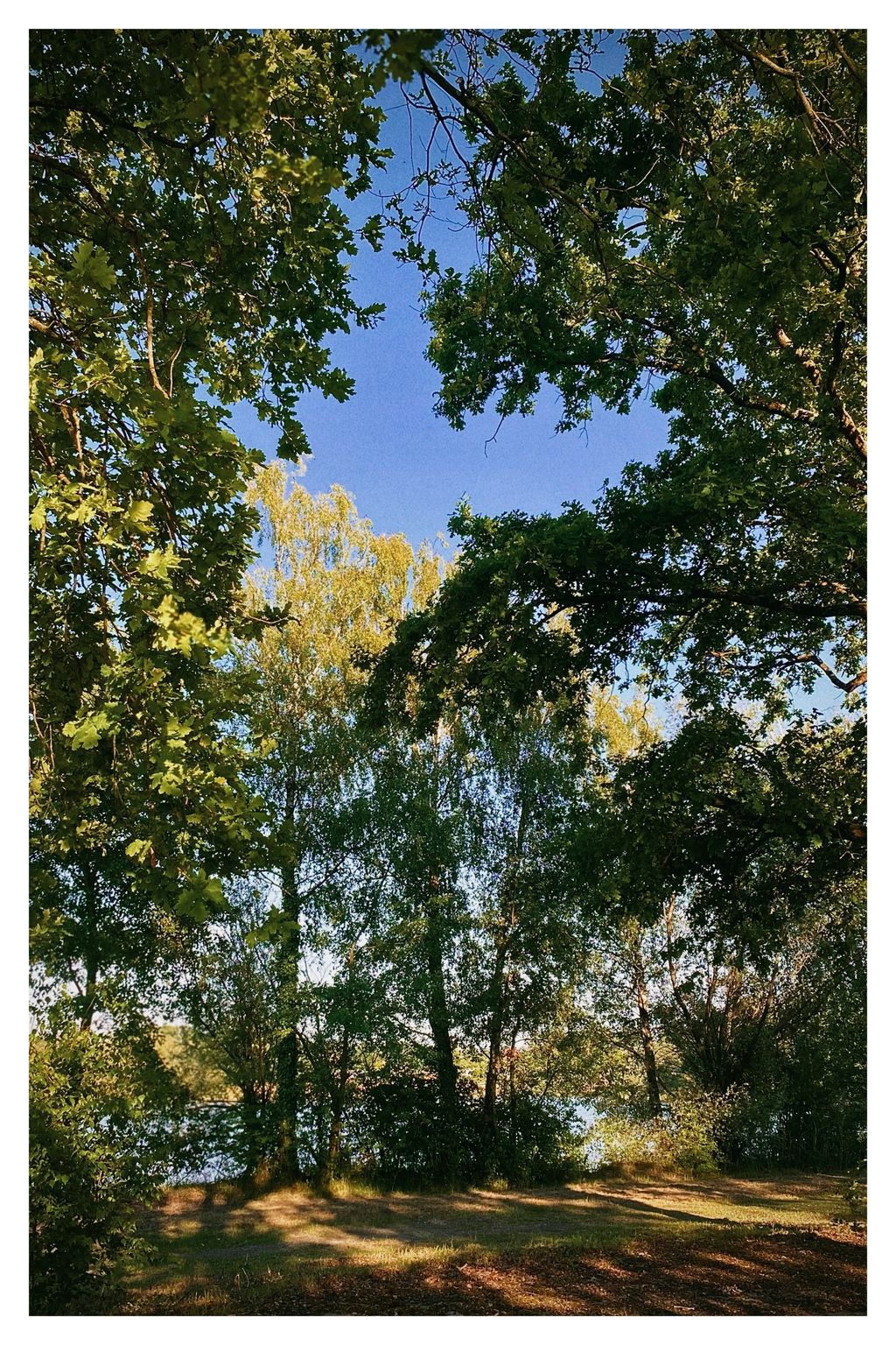 Schatten tut gut (172/365)
