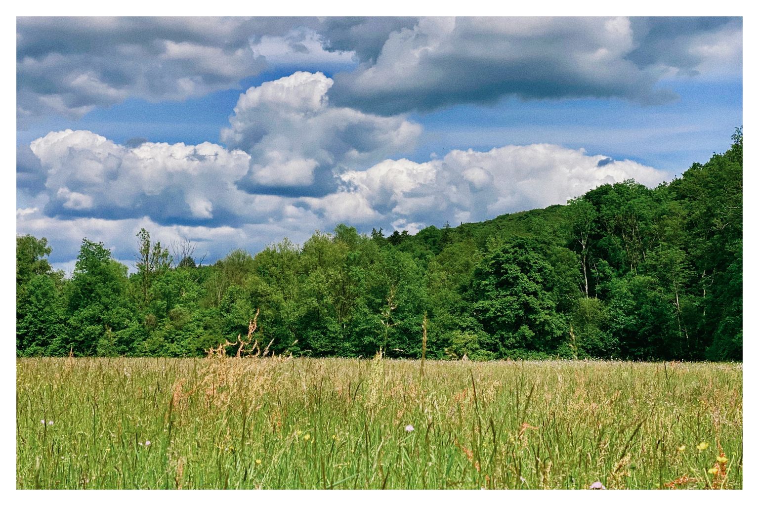 Unterwegs im Körschtal (171/365)