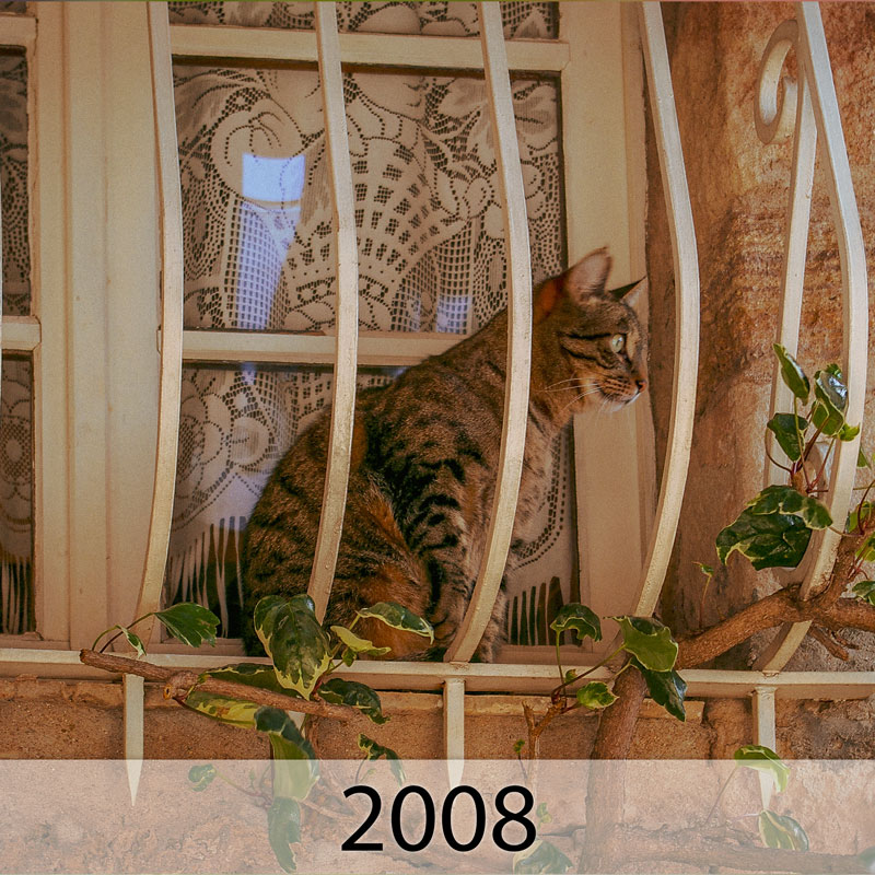 Galerie: Bilder des Jahres 2008