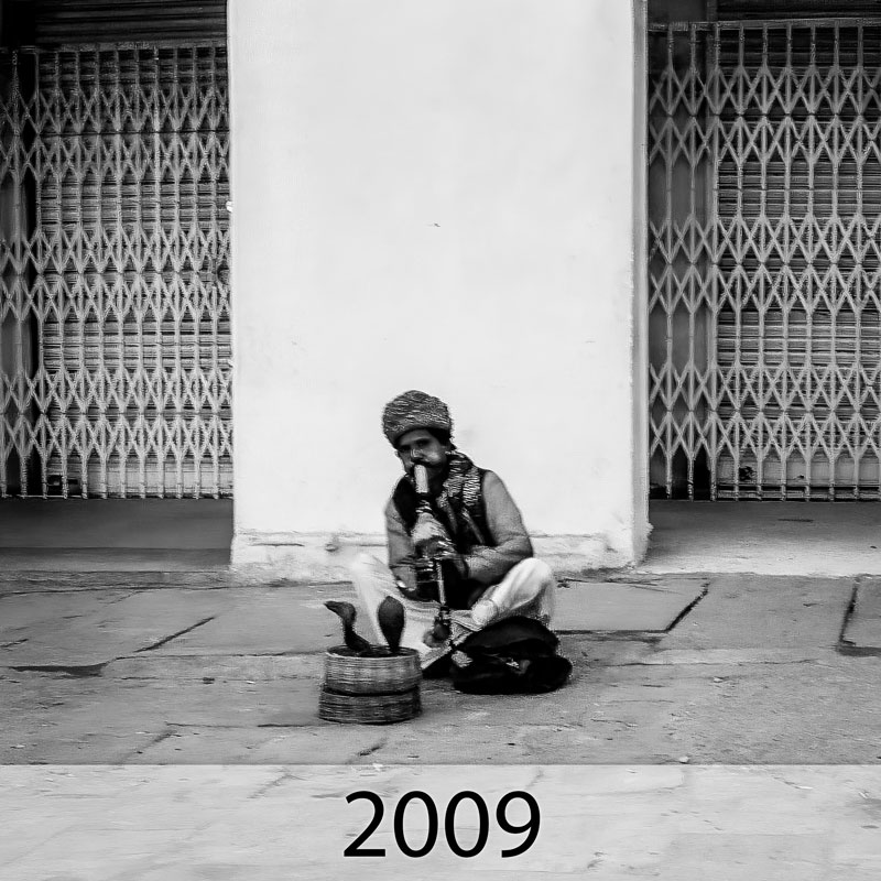 Galerie: Bilder des Jahres 2009