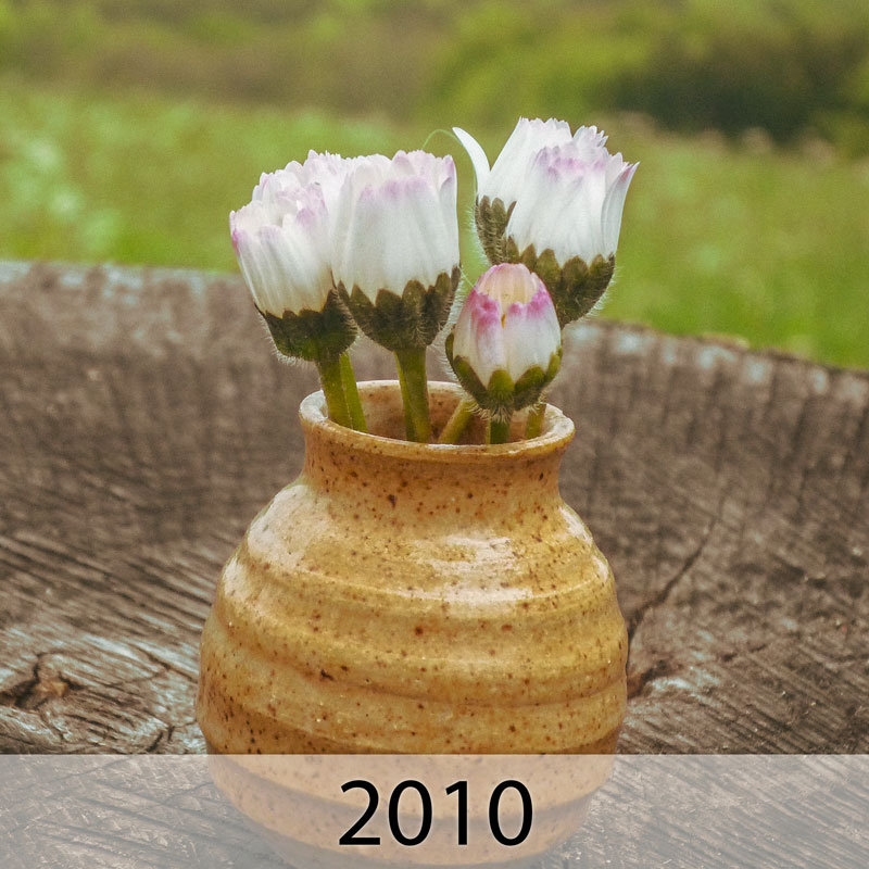 Galerie: Bilder des Jahres 2010